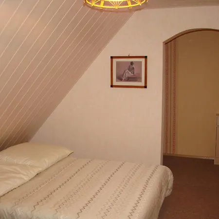 בית הארחה Gaestehaus Alexanna *