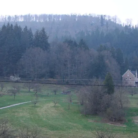 Gasthuis Gaestehaus Alexanna Baden-Baden