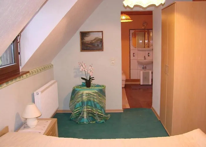 Gaestehaus Alexanna Гостевой дом *