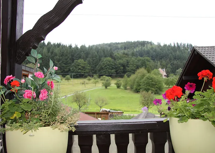 Гостевой дом Gaestehaus Alexanna