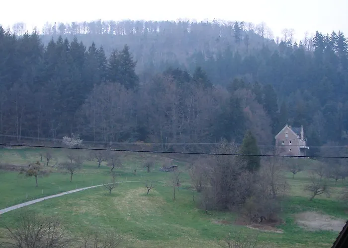 Гостевой дом Gaestehaus Alexanna Баден-Баден