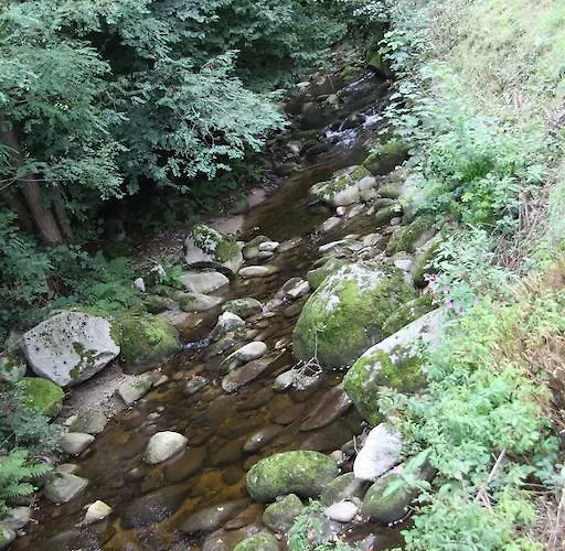 Гостевой дом Gaestehaus Alexanna *